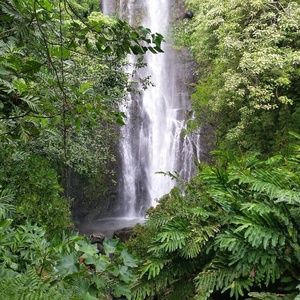 Meet your Posher, RH